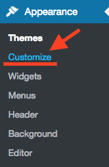 Click Customize on WordPress Dashboard