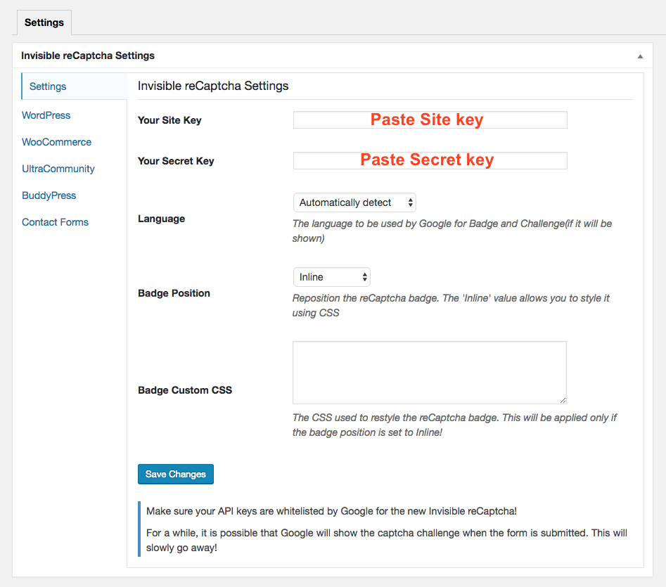 Paste Site key and Secret key on Invisible reCAPTCHA plugin setting page