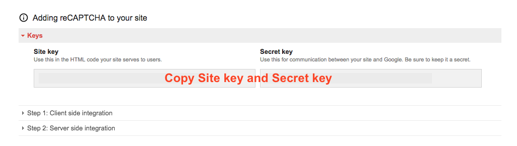 Copy Site key and Secret key